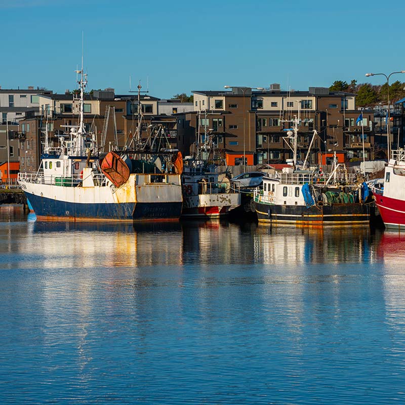 Fiskebåtar i Fiskebäcks hamn med bostadsrättsföreningens fastigheter i bakgrunden.