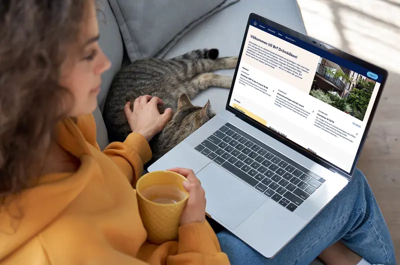 Kvinna sitter i soffan tillsammans med en katt och sin laptop i knät